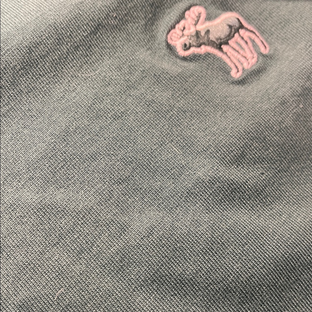 Abercrombie & Fitch Teal Short Sleeve Tee